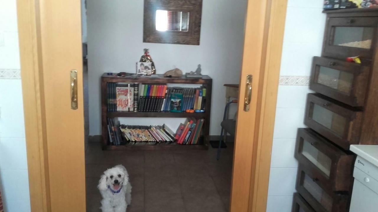 Habitaciones En Casa Compartida Retamar 알메리아 외부 사진